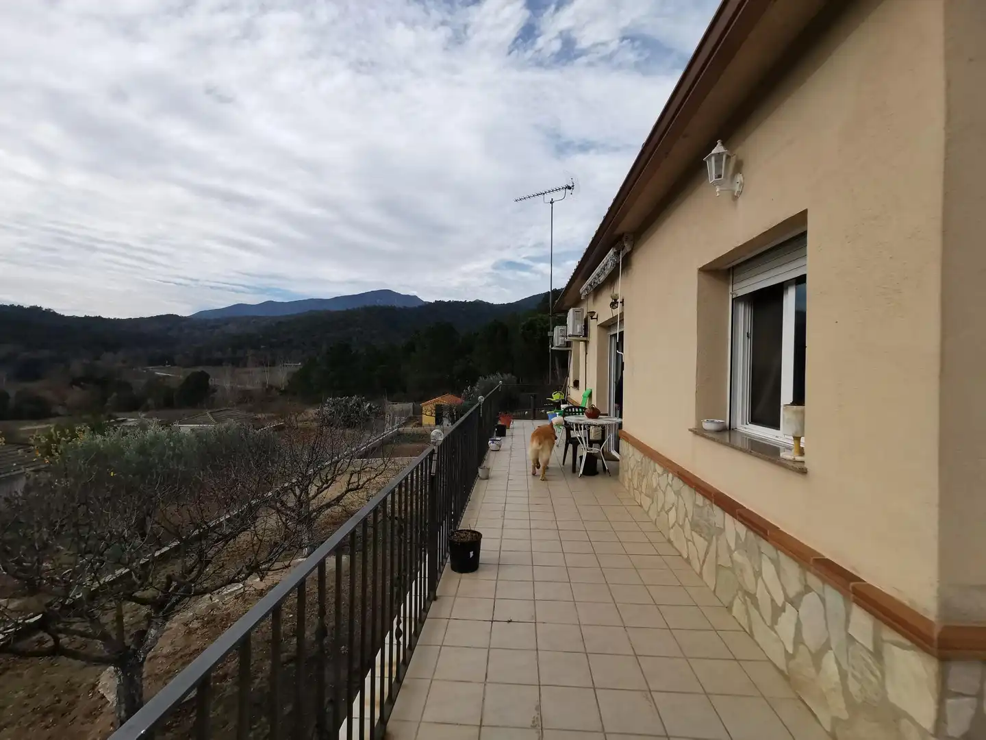Villa mit Garten zum Verkauf in Sant Feliu de Buixalleu, imagen 15