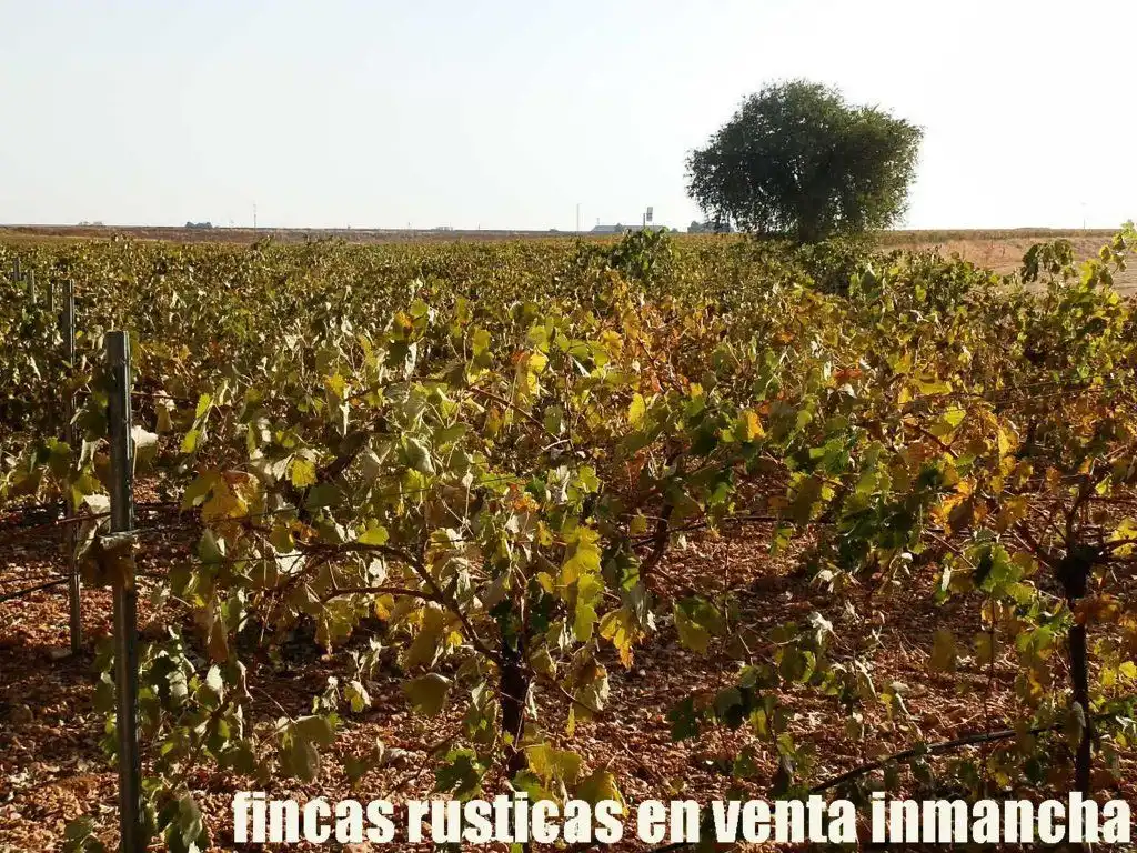 Terrenys i solars en venda a Almagro, imagen 7