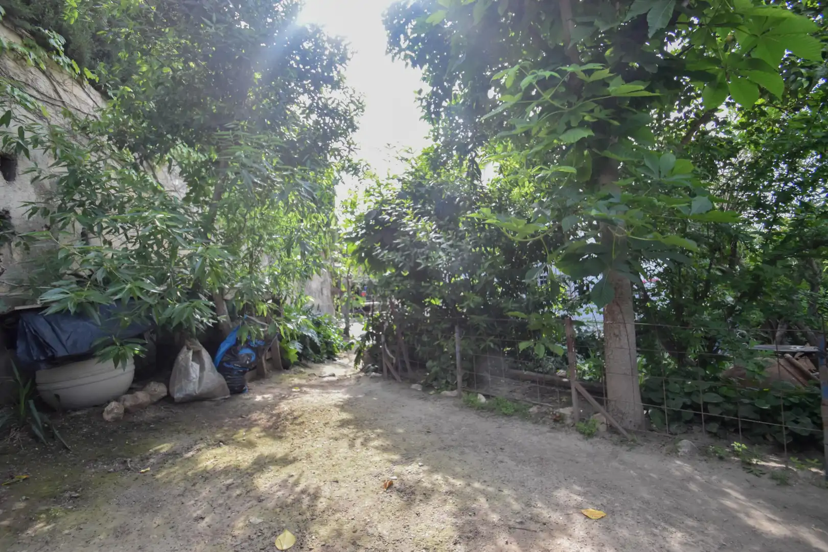 Chalet con piscina en venta en Calle Malacabi 3, imagen 19