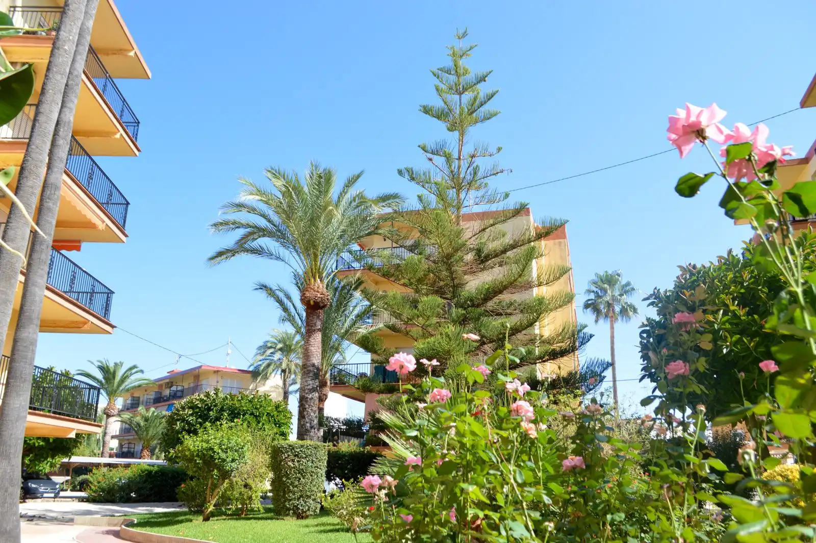 Apartments for sale in El Palmar - Los Molinos