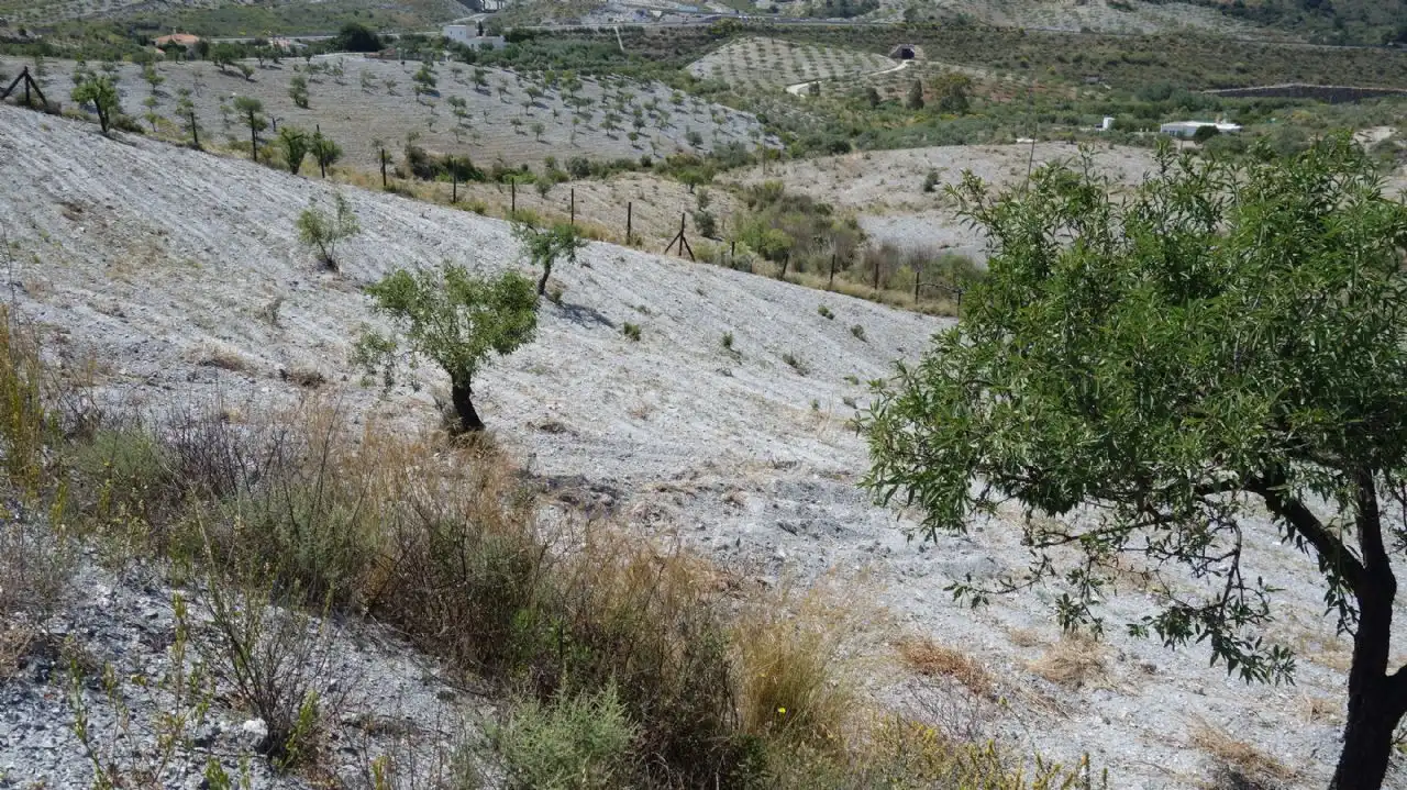 Casa rústica amb piscina en venda a Vélez de Benaudalla, imagen 13