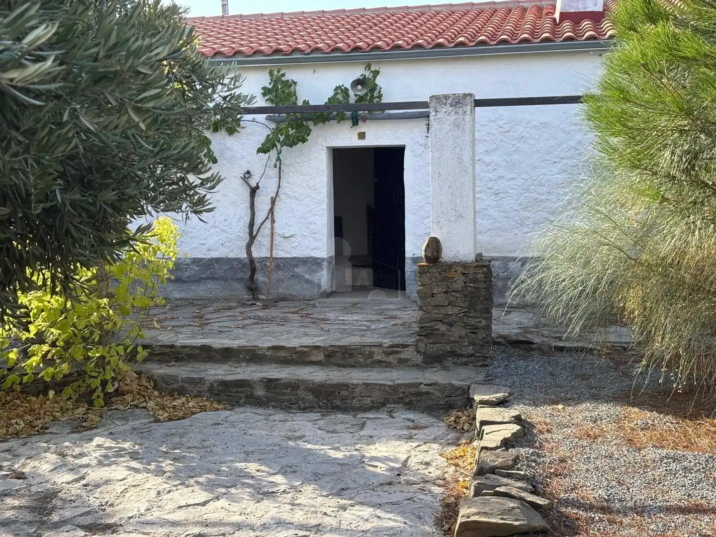 Residential for sale in Segura de León