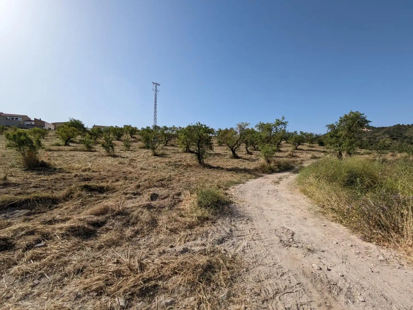 Residential land for sale in EXTRARRADIO, imagen 13