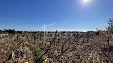 Photo 2 of Residential for sale in Son Servera Poble, Illes Balears