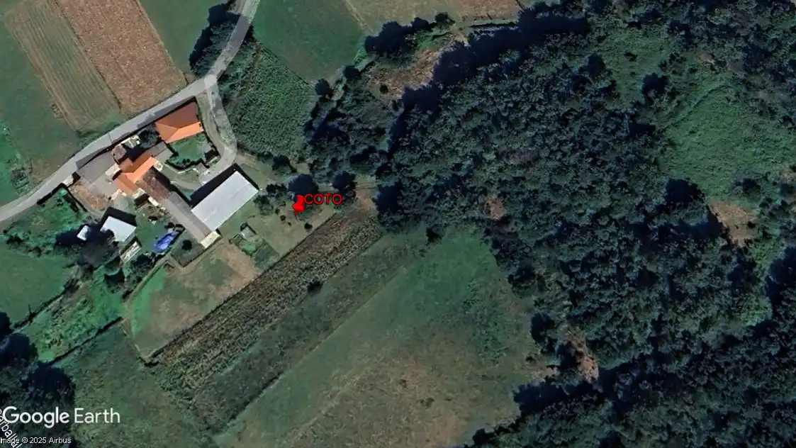 Terreny rústic en venda a Vila de Cruces