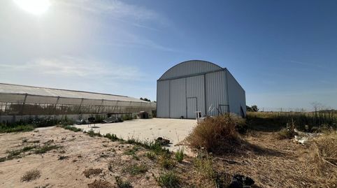 Finca Rúst. en venta en Los Palacios Y Villafranc.