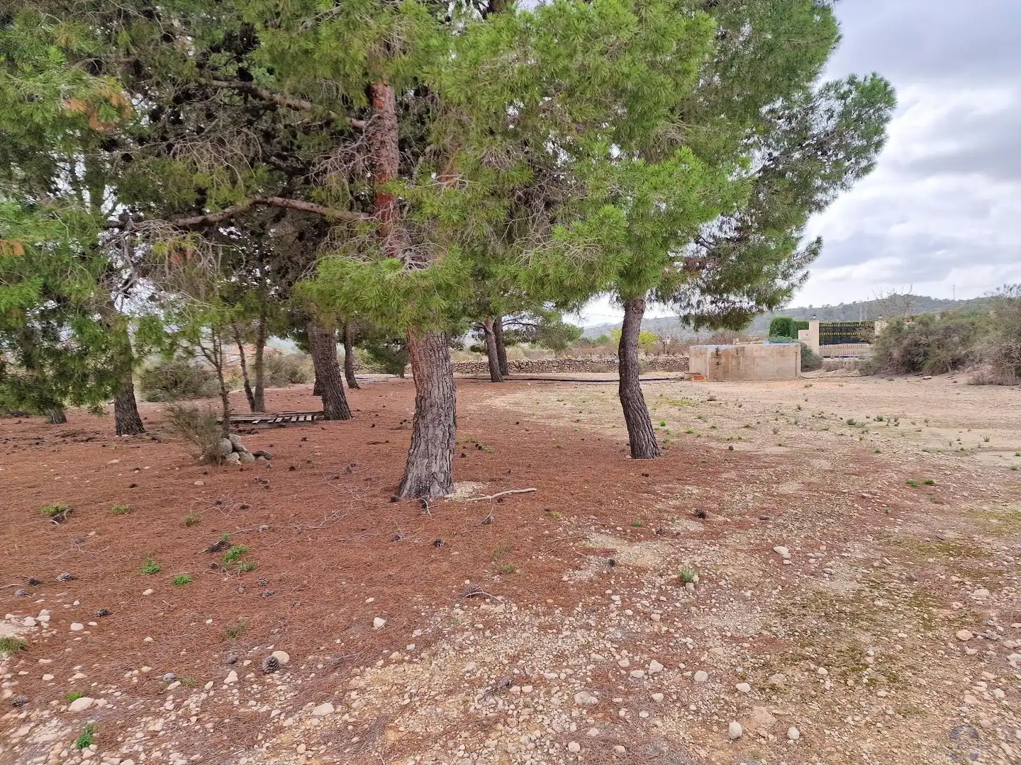Villa in vendita a Monóvar  / Monòver, imagen 19