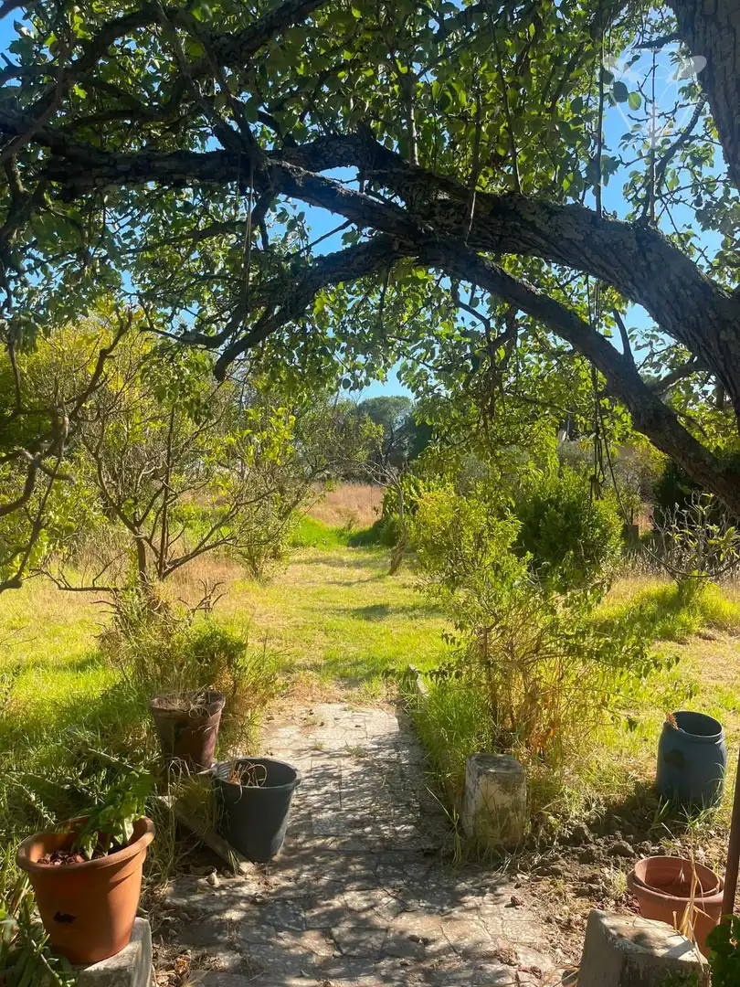 Chalet en venta en Bonares, imagen 40