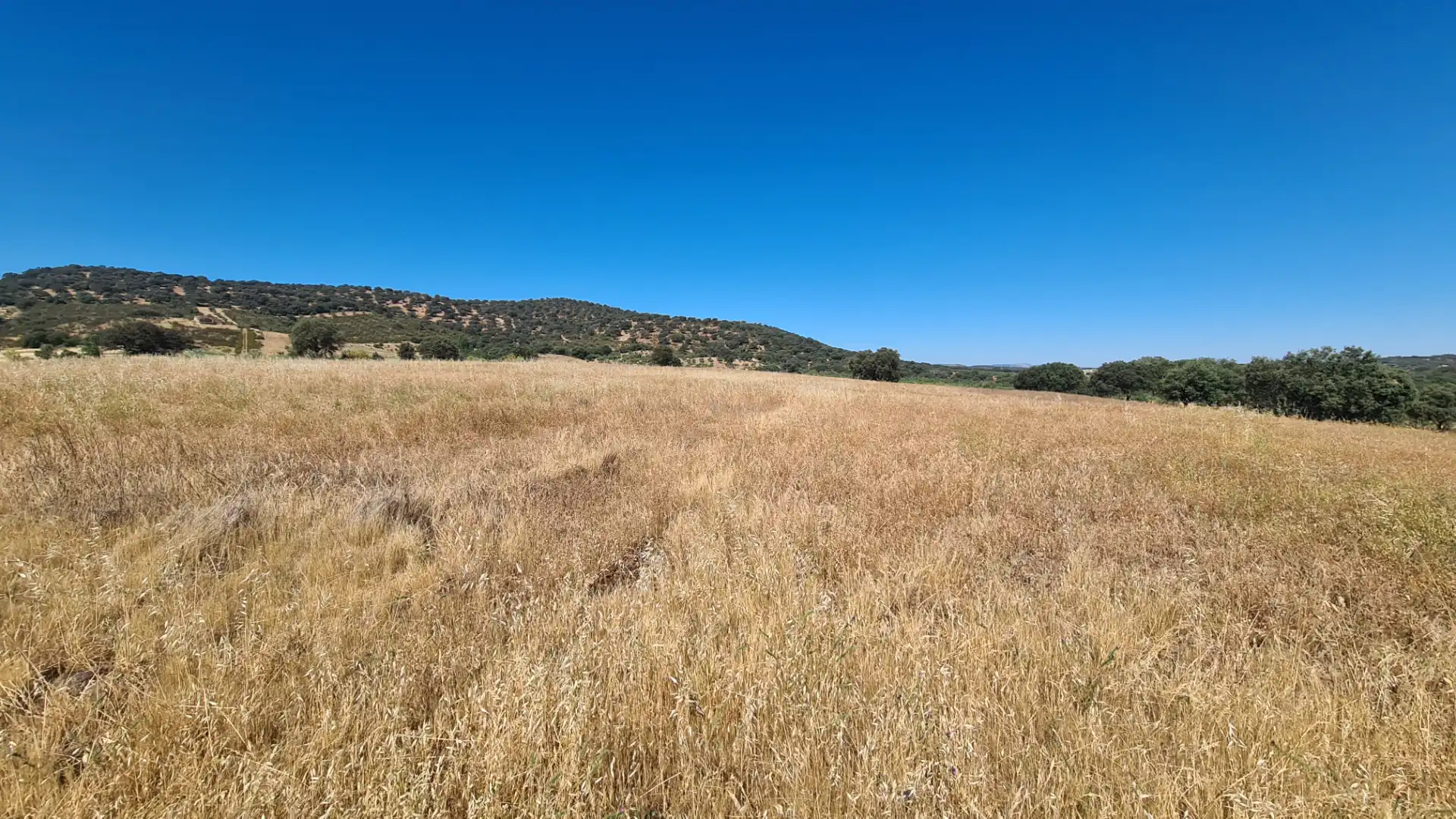 Terreno en venta en Malcocinado
