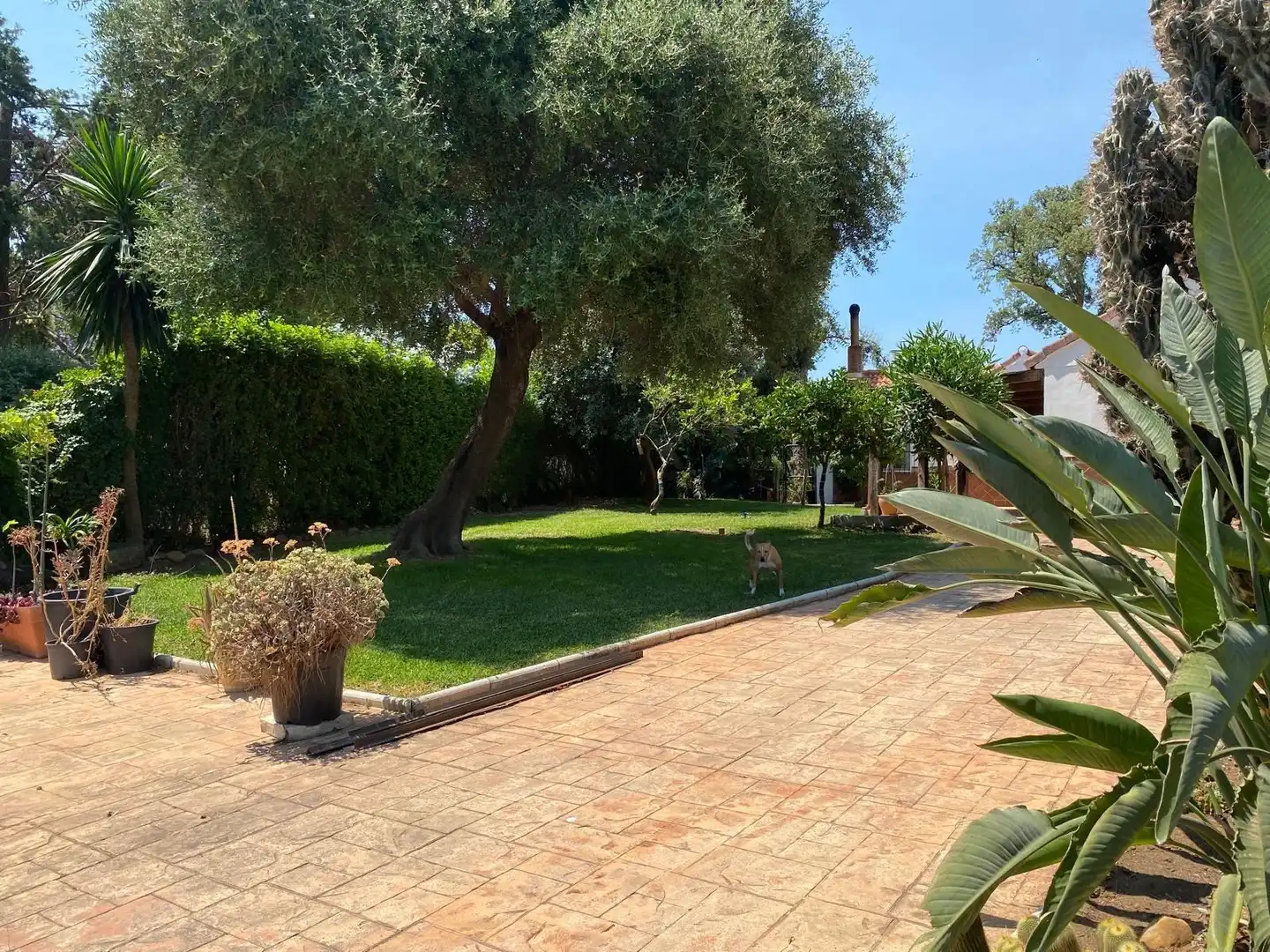 Jardí de Casa o xalet en venda en Los Barrios amb Jardí privat, Terrassa i Traster