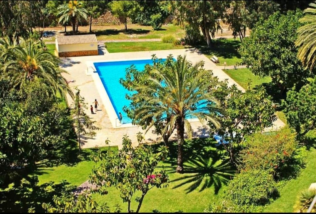 Swimming pool of Flat for sale in Benidorm  with Furnished, Oven and Community pool