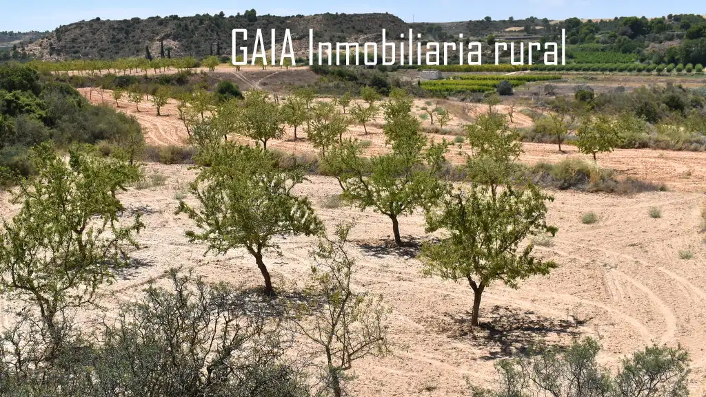 Finca rústica en venta en Caspe