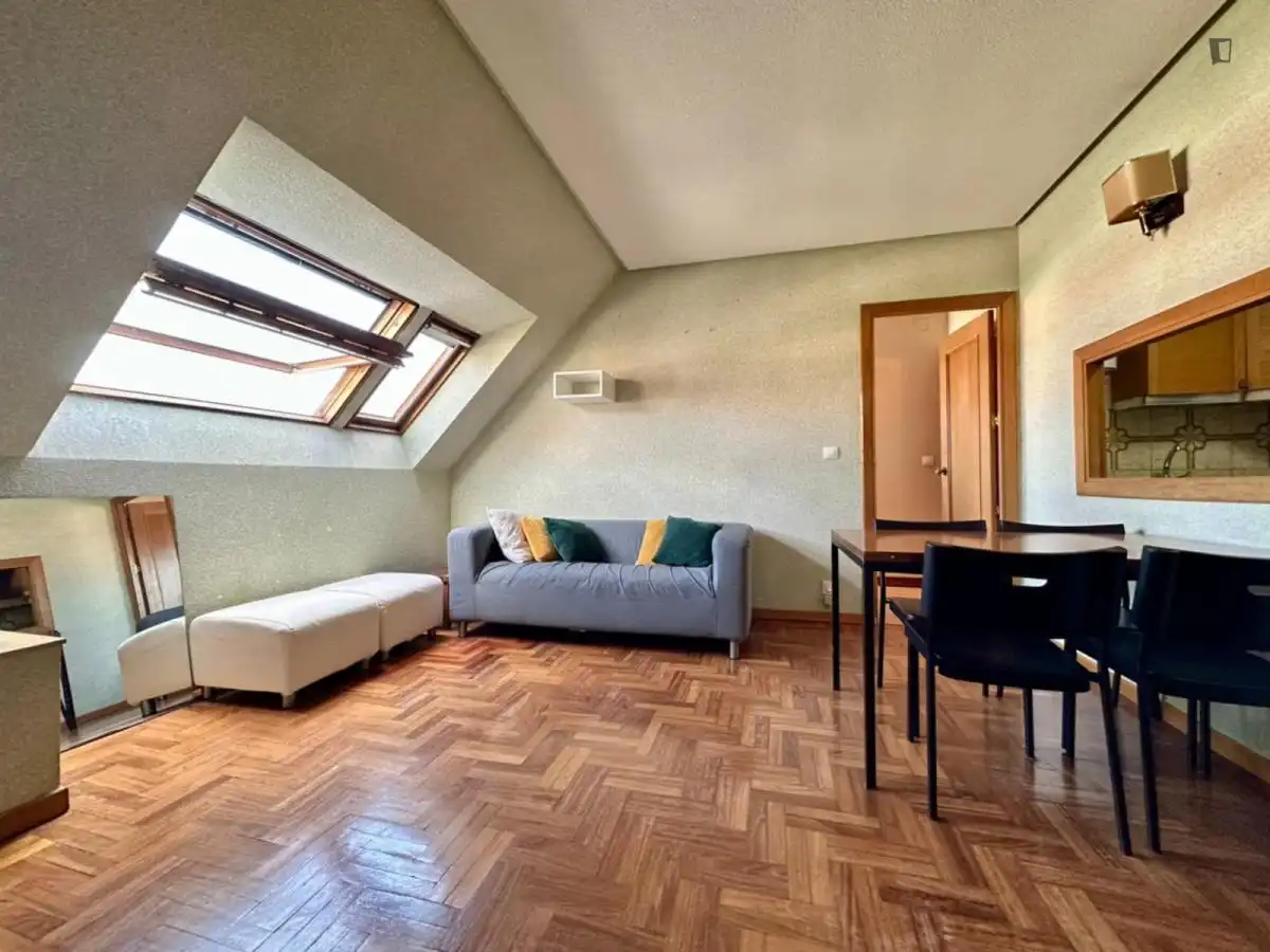 Sala d'estar de Apartament de lloguer en Madrid amb Calefacció, Moblat i Forn