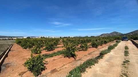 Finca Agrícola en Pla Nou de Canals, immagine 3