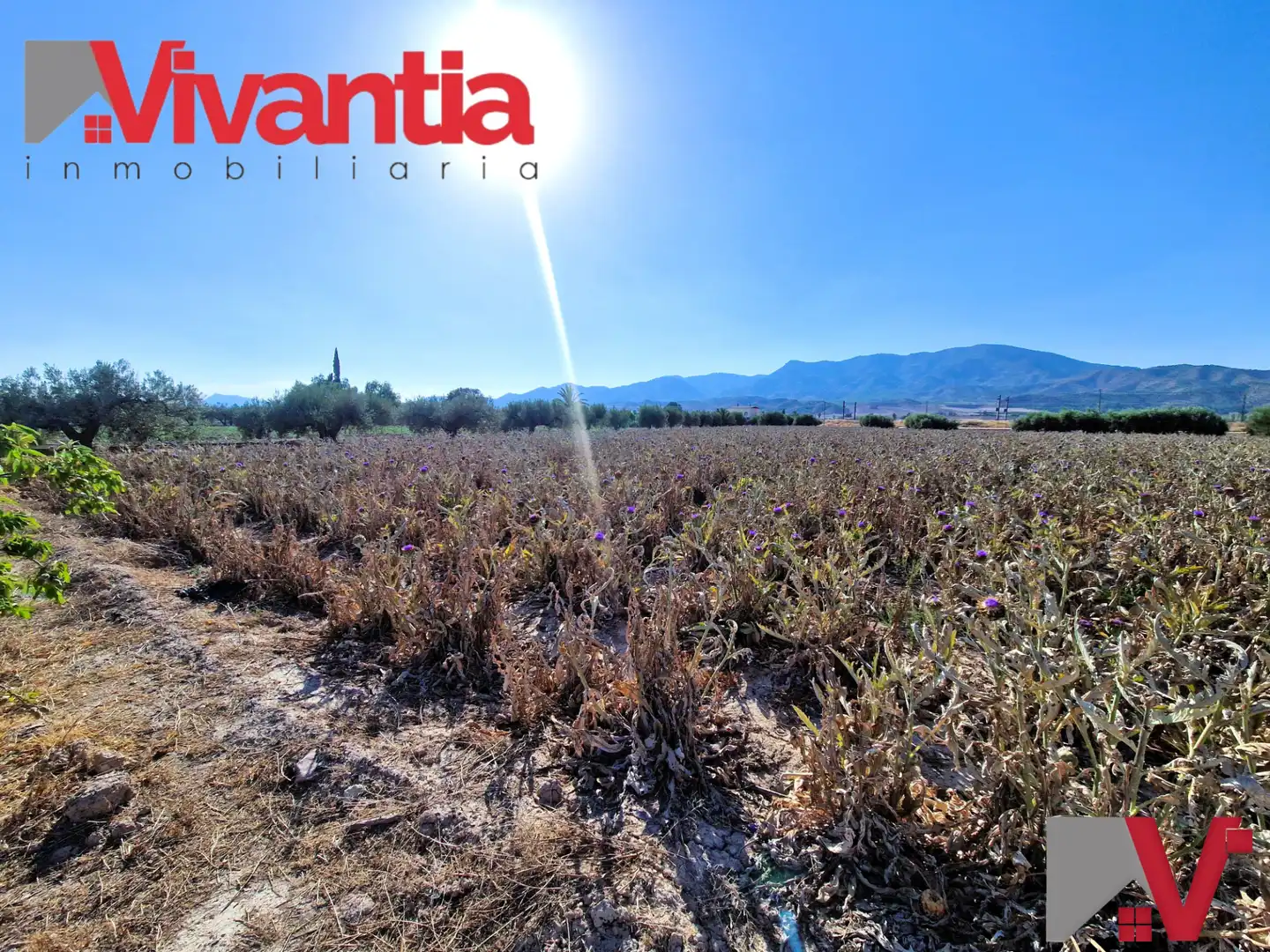 Houses for sale in Lorca  with Air Conditioner, Private garden and Terrace