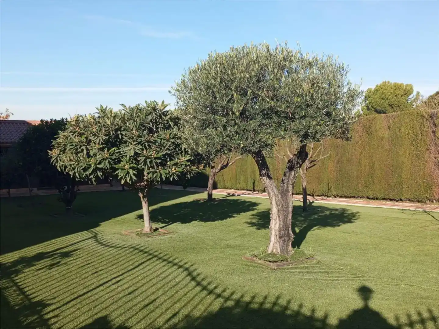 Garden of Flat for sale in Marmolejo  with Air Conditioner, Private garden and Storage room
