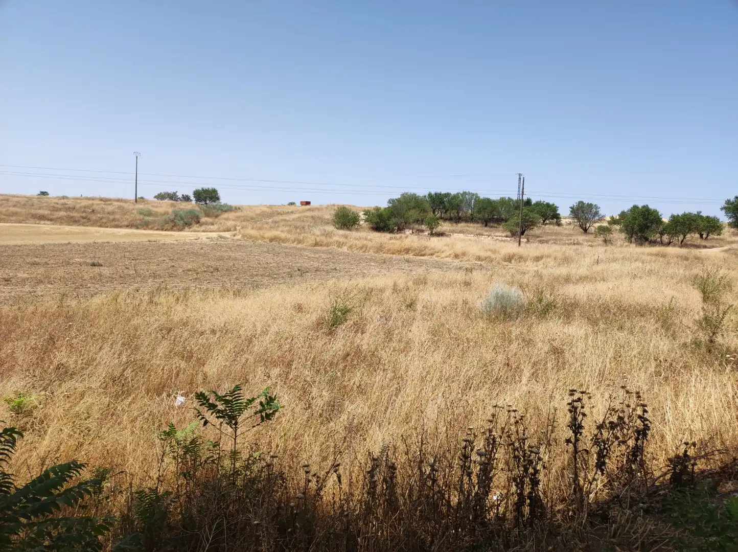 Terreno residencial en venta en Carretera Almonacid a Zorita 3