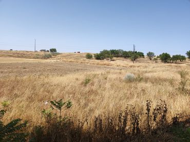 Terreno residenziale in vendita a Carretera Almonacid a Zorita 3