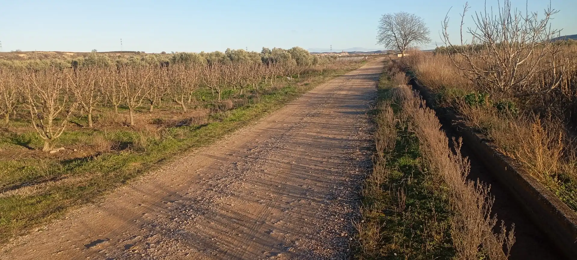 Rural land for sale in Mendavia, imagen 4