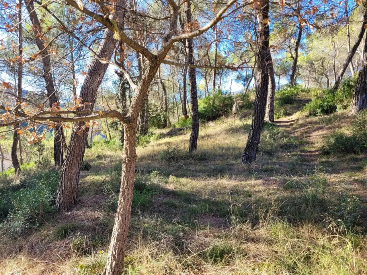 Casa o xalet en venda en Vacarisses amb Aire condicionat, Jardí privat i Piscina
