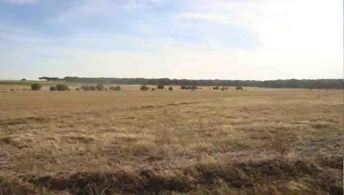 Rustikales Grundstück zum Verkauf in La Zarza (Valladolid), imagen 4