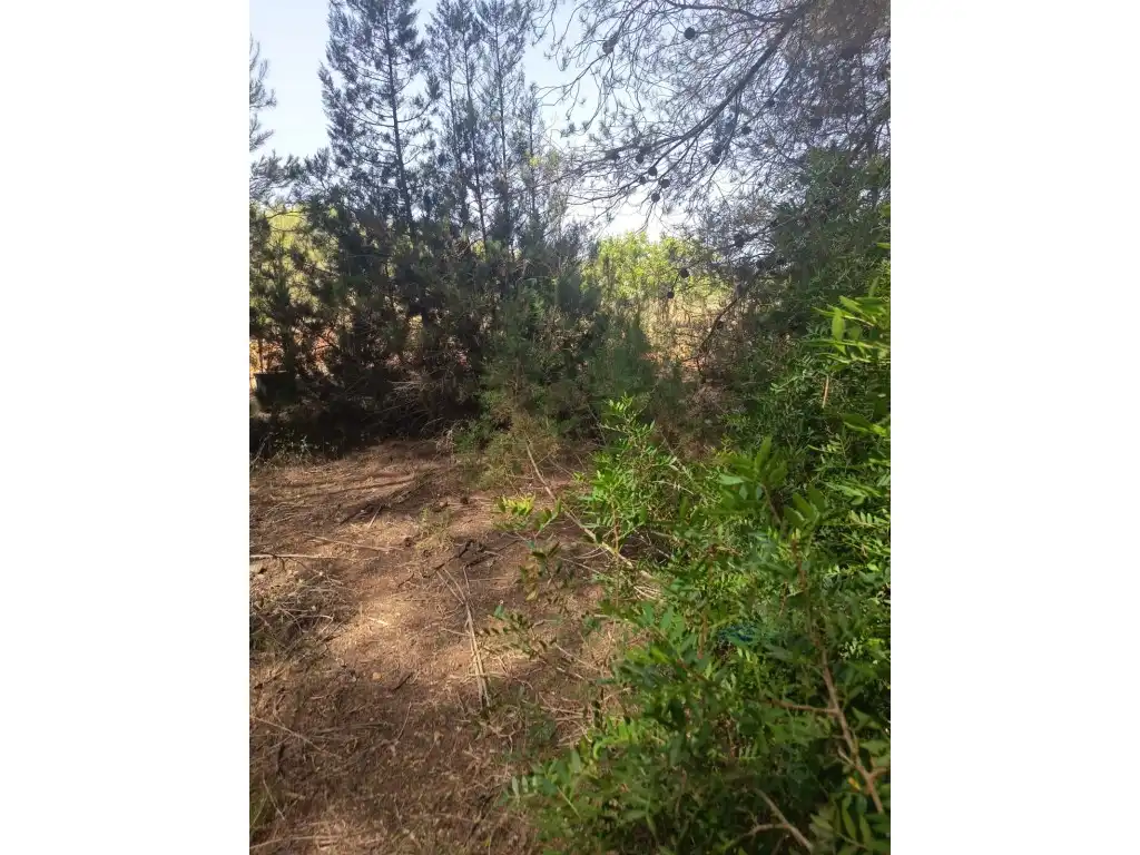Terreno rustico in vendita a Diseminados Sector 4.5 Santa Agnes, imagen 3