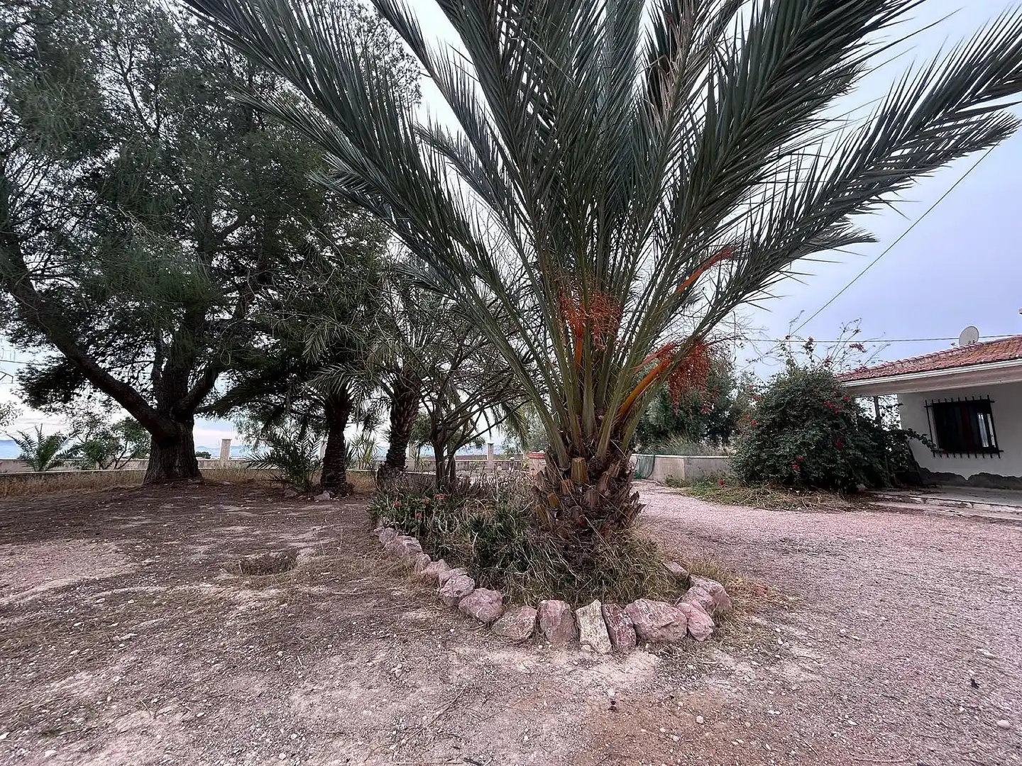Maison rustique à vendre à Novelda, imagen 28