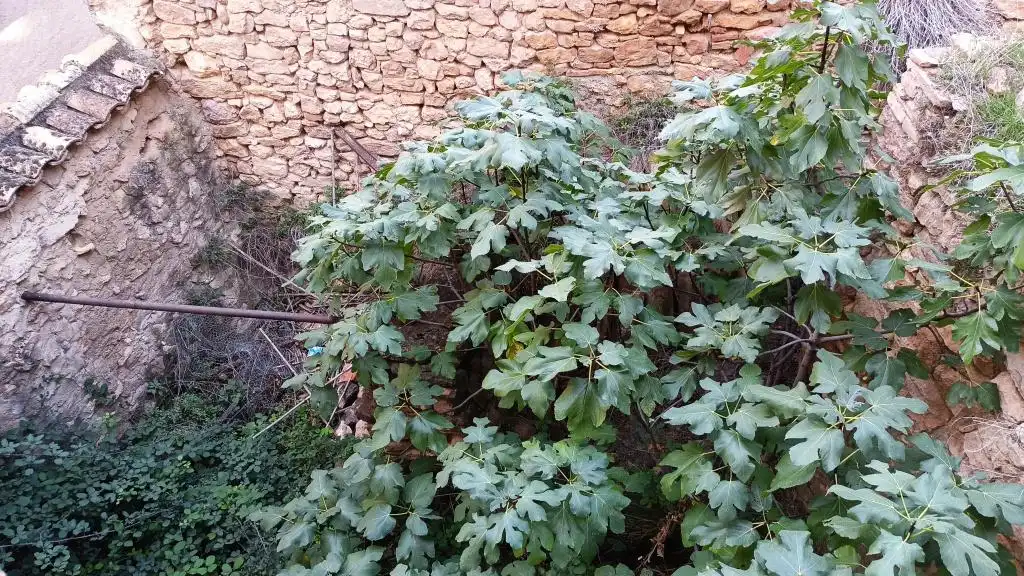 Xalet amb jardí en venda a Alquézar, imagen 12