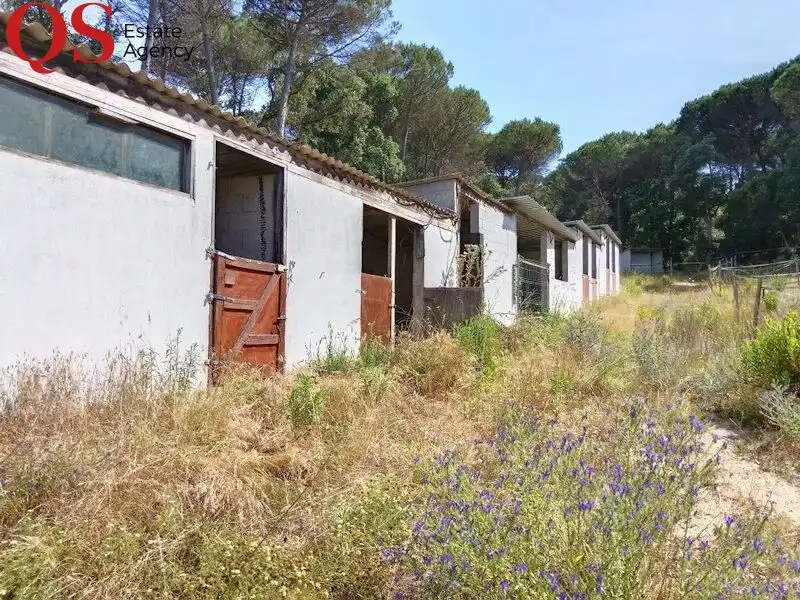Casa rustica in vendita a Montbarbat, imagen 42