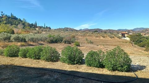 Foto 2 de Piso en venta en Coín, Málaga