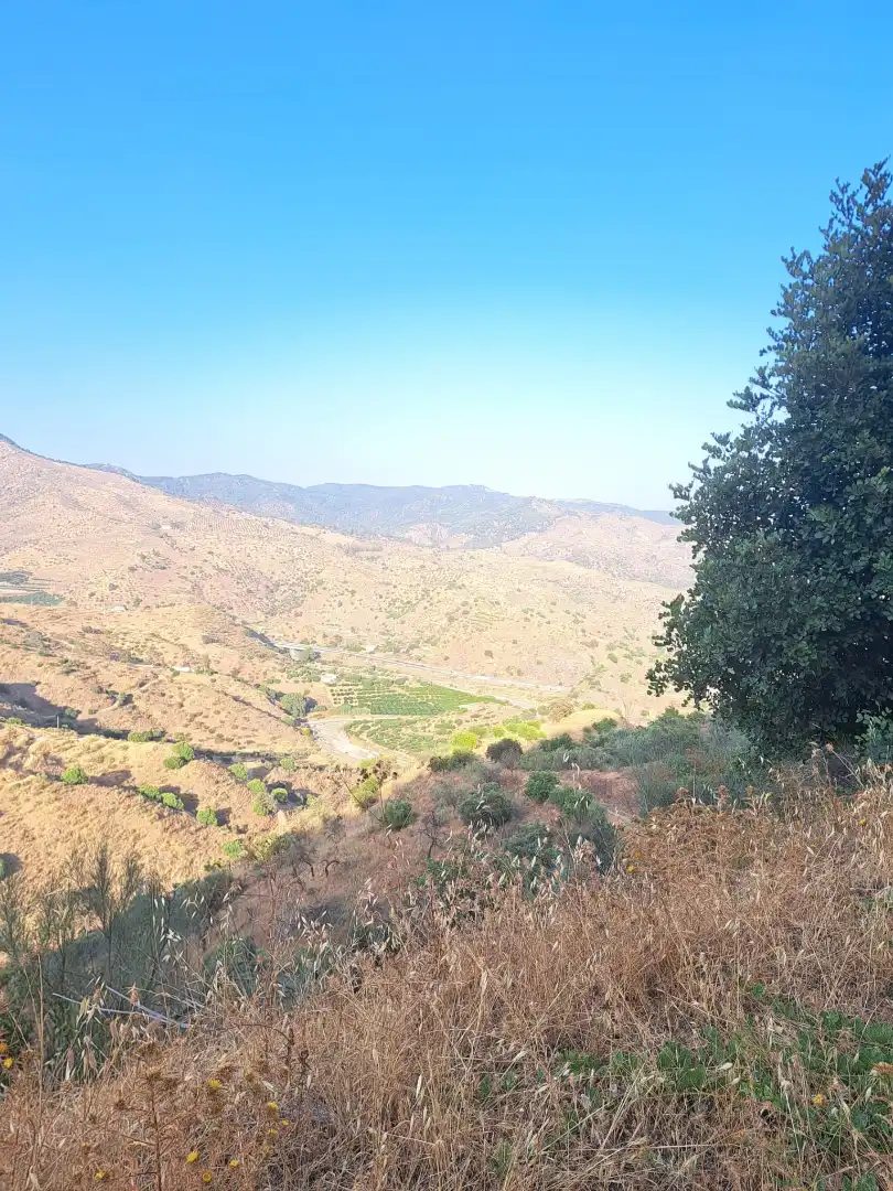 Vista exterior de Casa o xalet en venda en Málaga amb Moblat