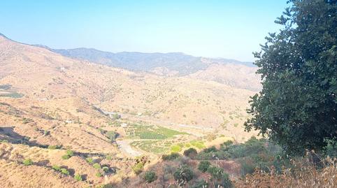 Foto 2 de Casa o xalet en venda a Carretera de Casabermeja, Residencial Jardín Botánico, Málaga