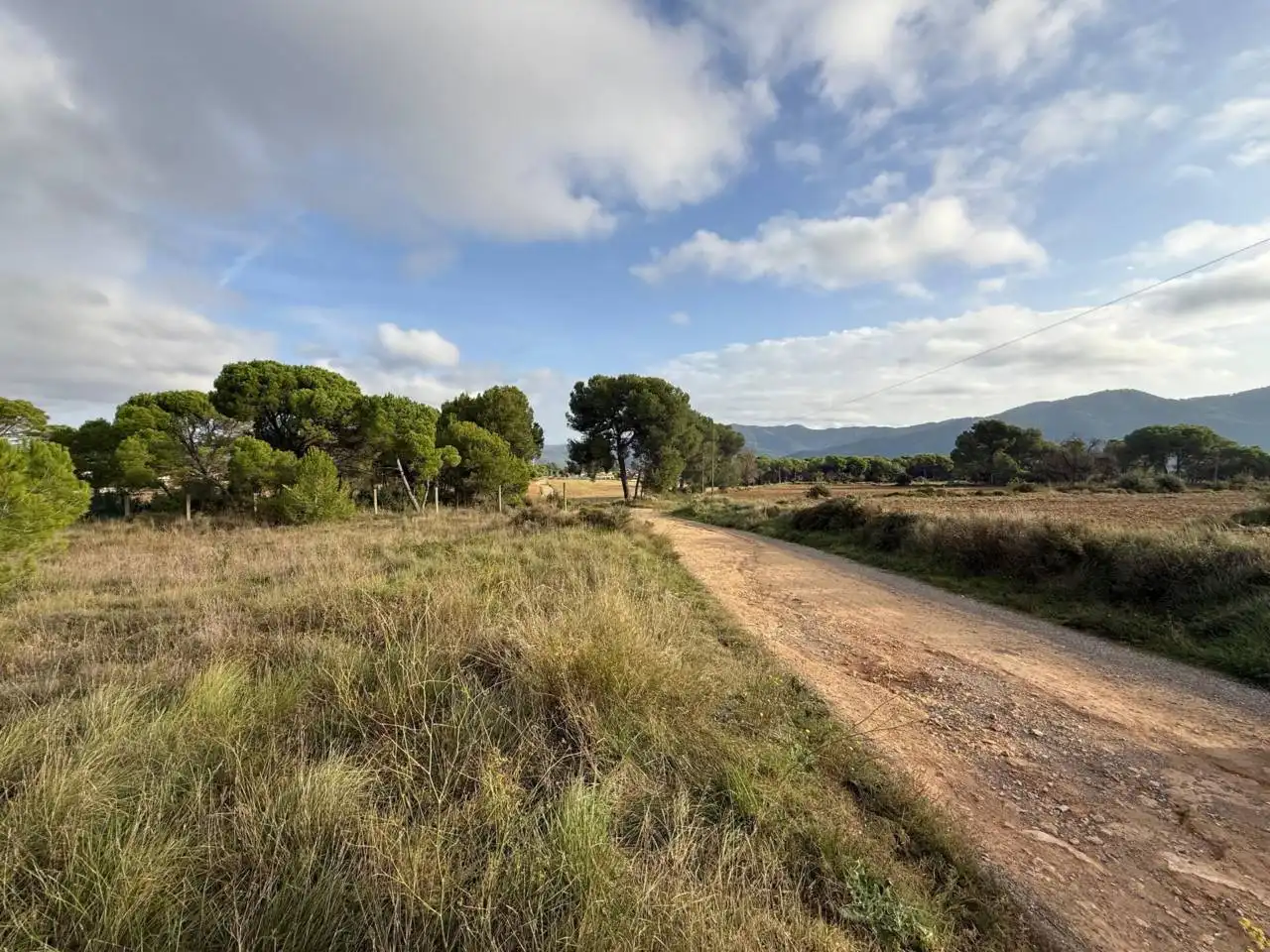 Industrial land for sale in La Torre de Claramunt