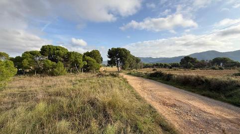 Photo 4 of Industrial land for sale in Vell la Torre, La Torre de Claramunt, Barcelona