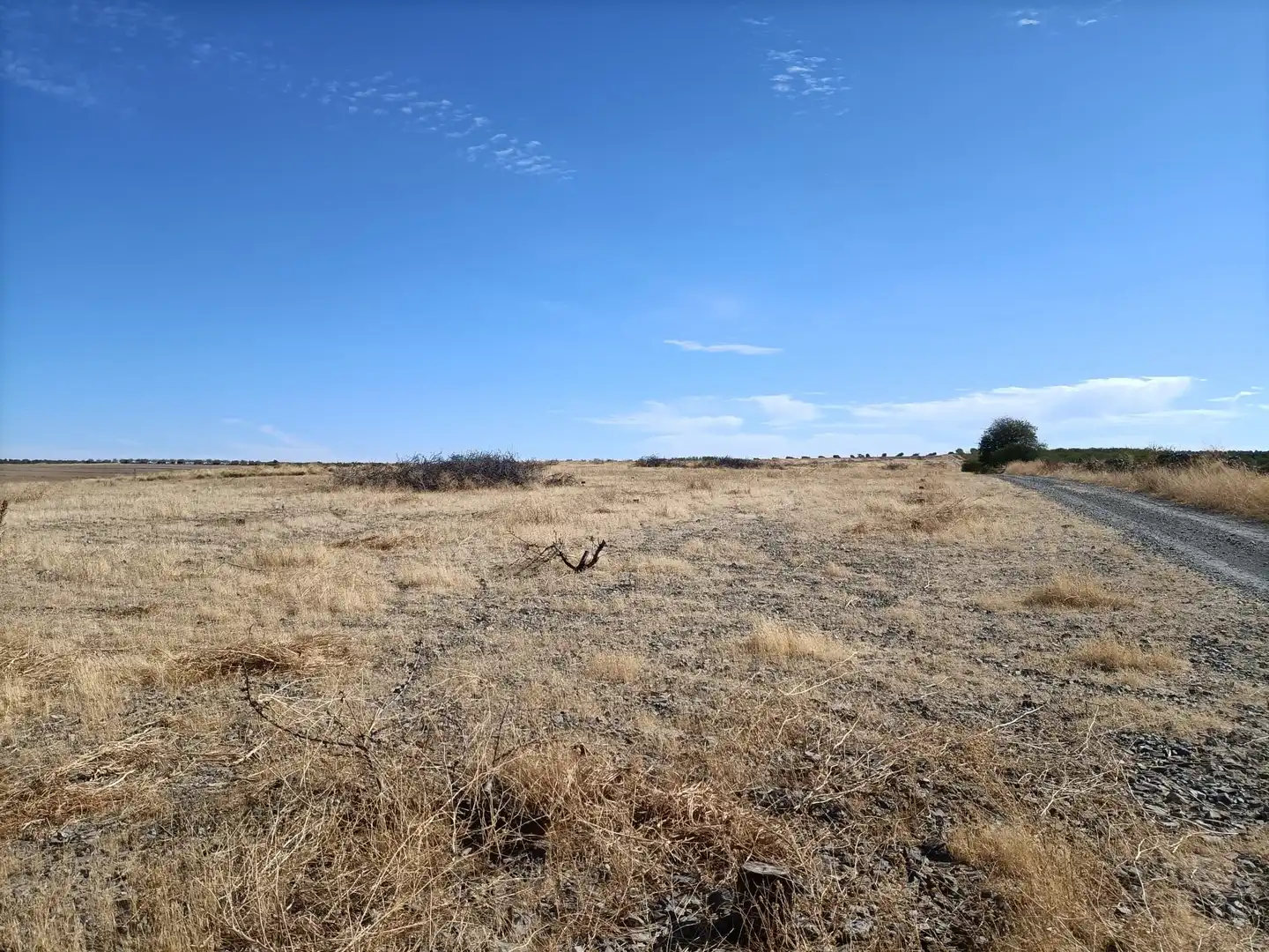 Rural land for sale in Almonacid de Toledo, imagen 5