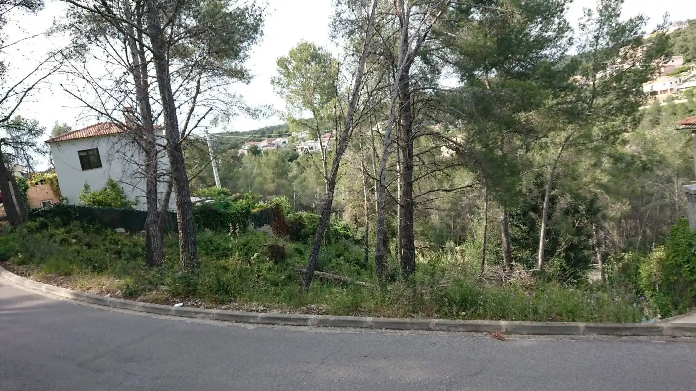 Terreny residencial en venda a Carrer del Teixo 11, imagen 5