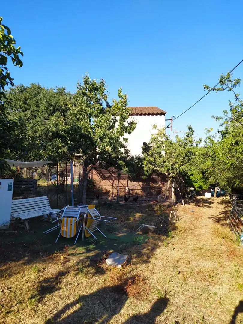 Jardín de Finca rústica en venta en Riells i Viabrea