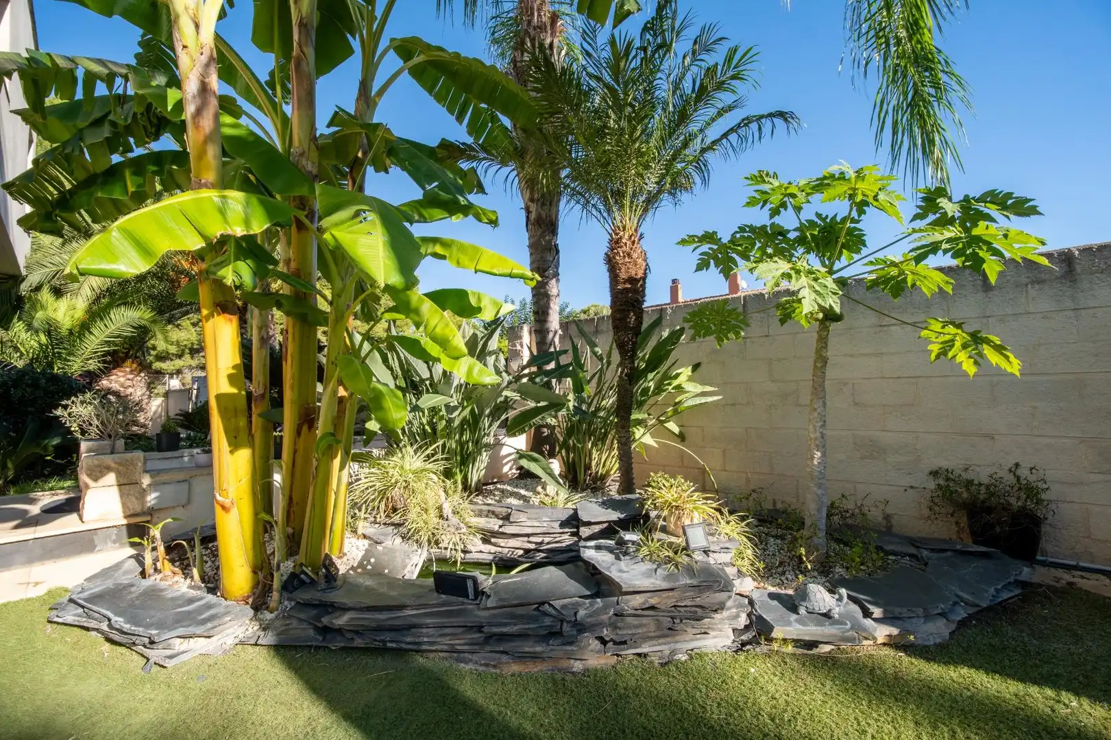 Jardí de Casa o xalet en venda en El Carme - Sant Agustí - Bonavista