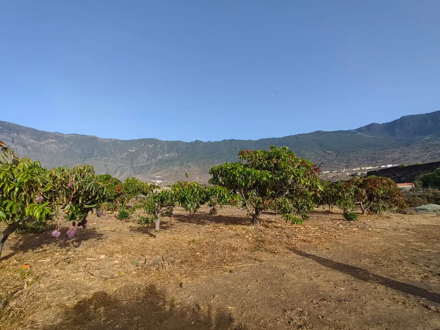 Finca rústica en venta en Frontera con Terraza, Amueblado y Horno