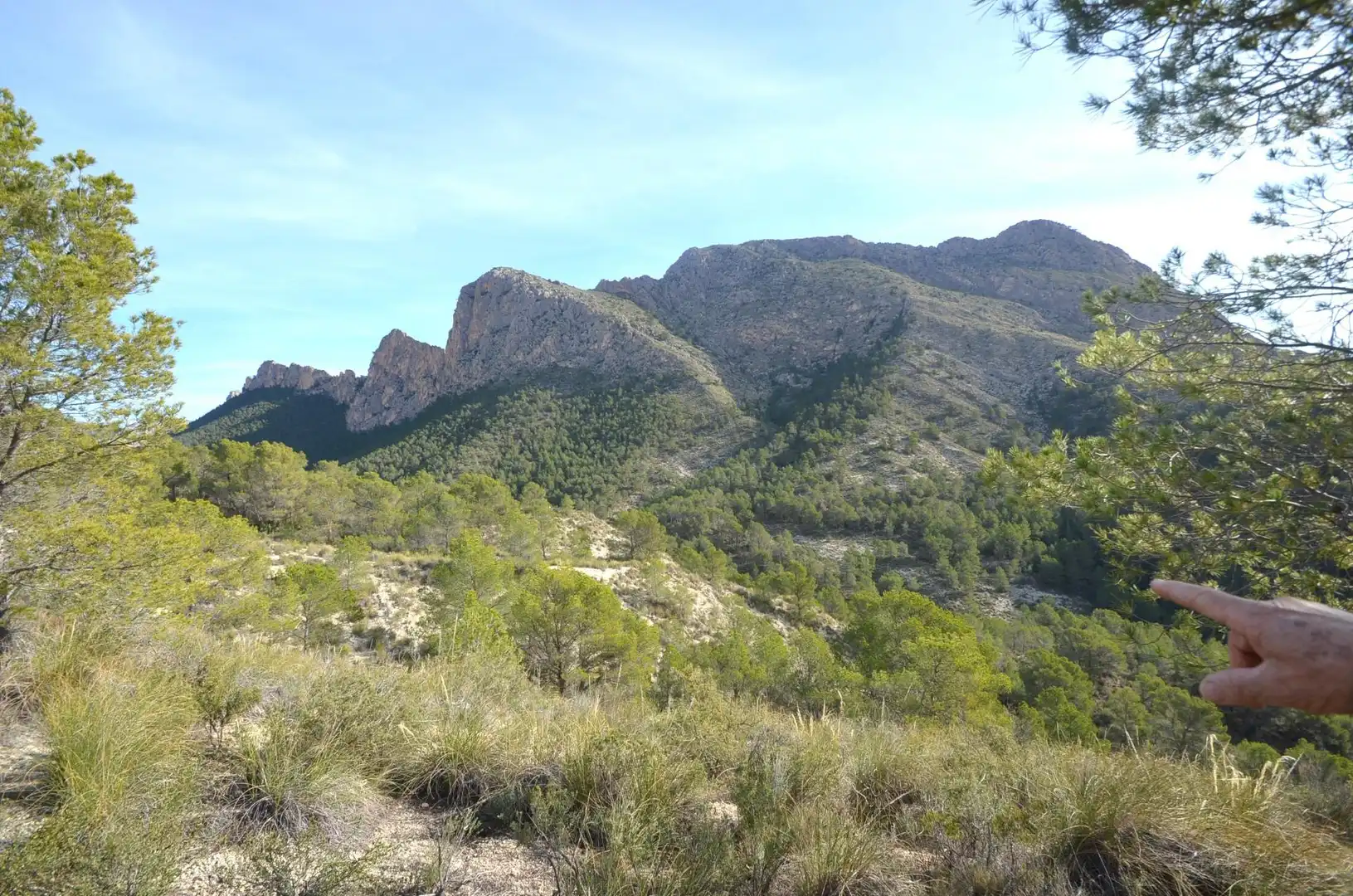 Vista exterior de Casa o xalet en venda en Orxeta amb Terrassa, Traster i Moblat