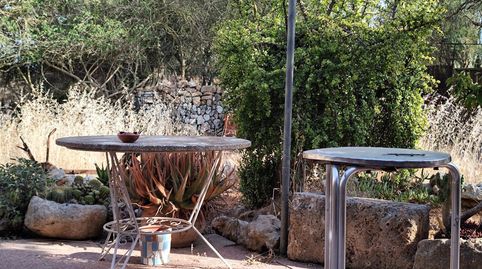 Photo 5 of Country homes for rent in Campos poble, Campos