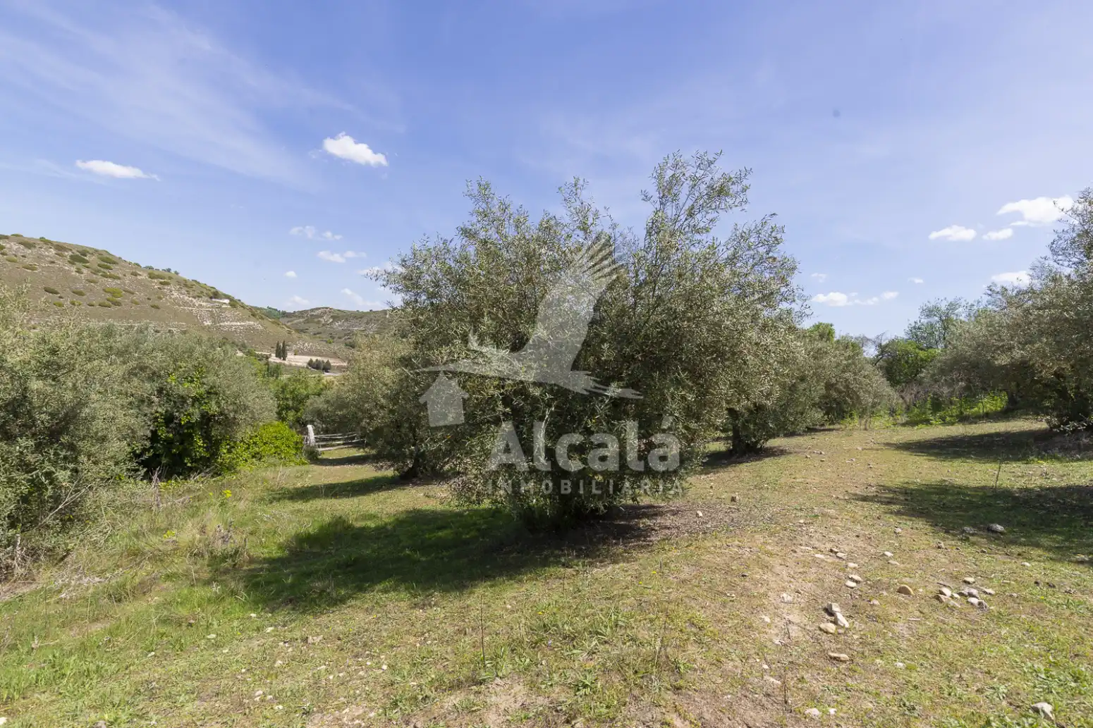 Casa o chalet en venta en Valverde de Alcalá con Calefacción, Terraza y Trastero