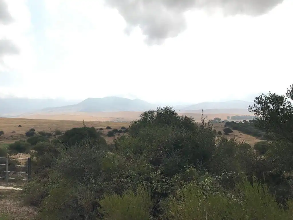 Terreno rustico in vendita a Tarifa ciudad, imagen 2