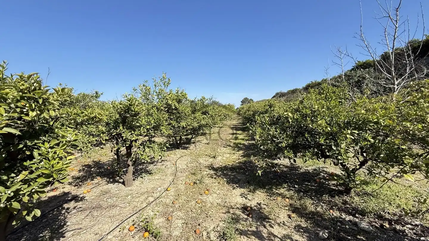 Finca rústica en venta en La Llosa de Ranes con Terraza, Trastero y Piscina