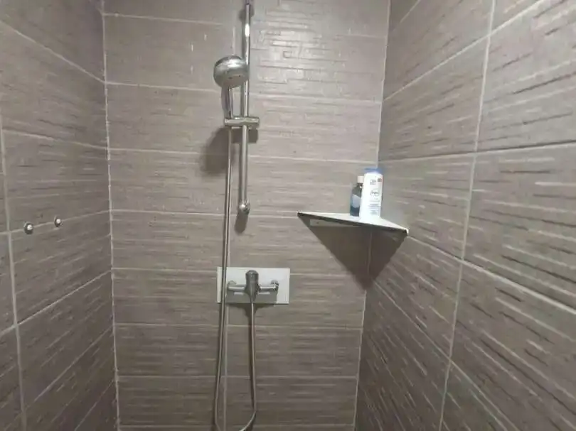 Bathroom of Houses for sale in Algemesí  with Private garden, Terrace and Swimming Pool