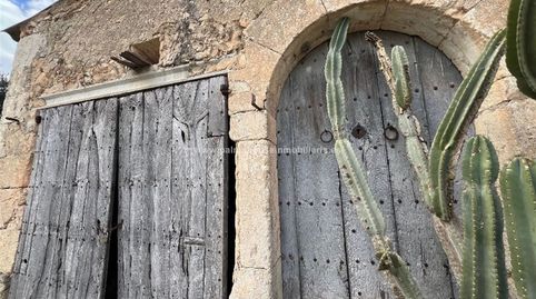 Foto 5 de Finca rústica en venta en Llubí, Illes Balears