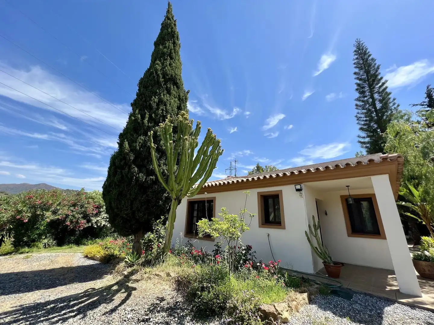 Jardín de Casa o chalet en venta en Estepona con Aire acondicionado, Terraza y Piscina