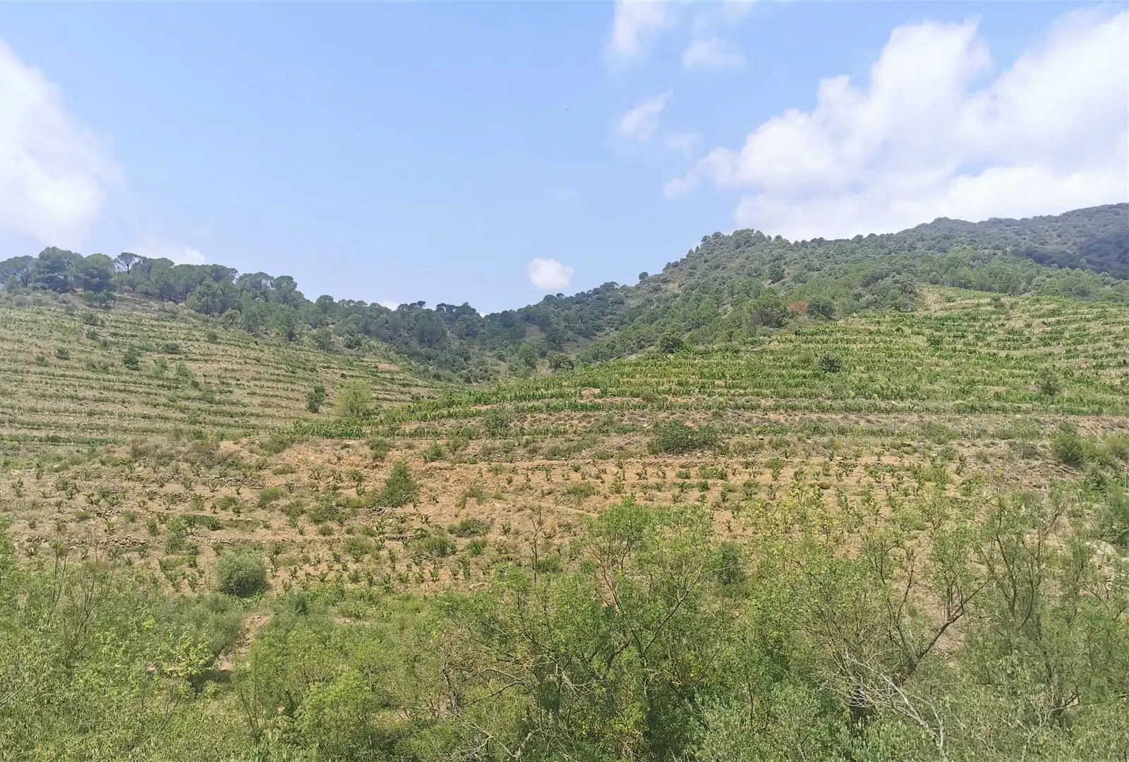Casa o chalet en venta en Porrera con Calefacción, Jardín privado y Terraza