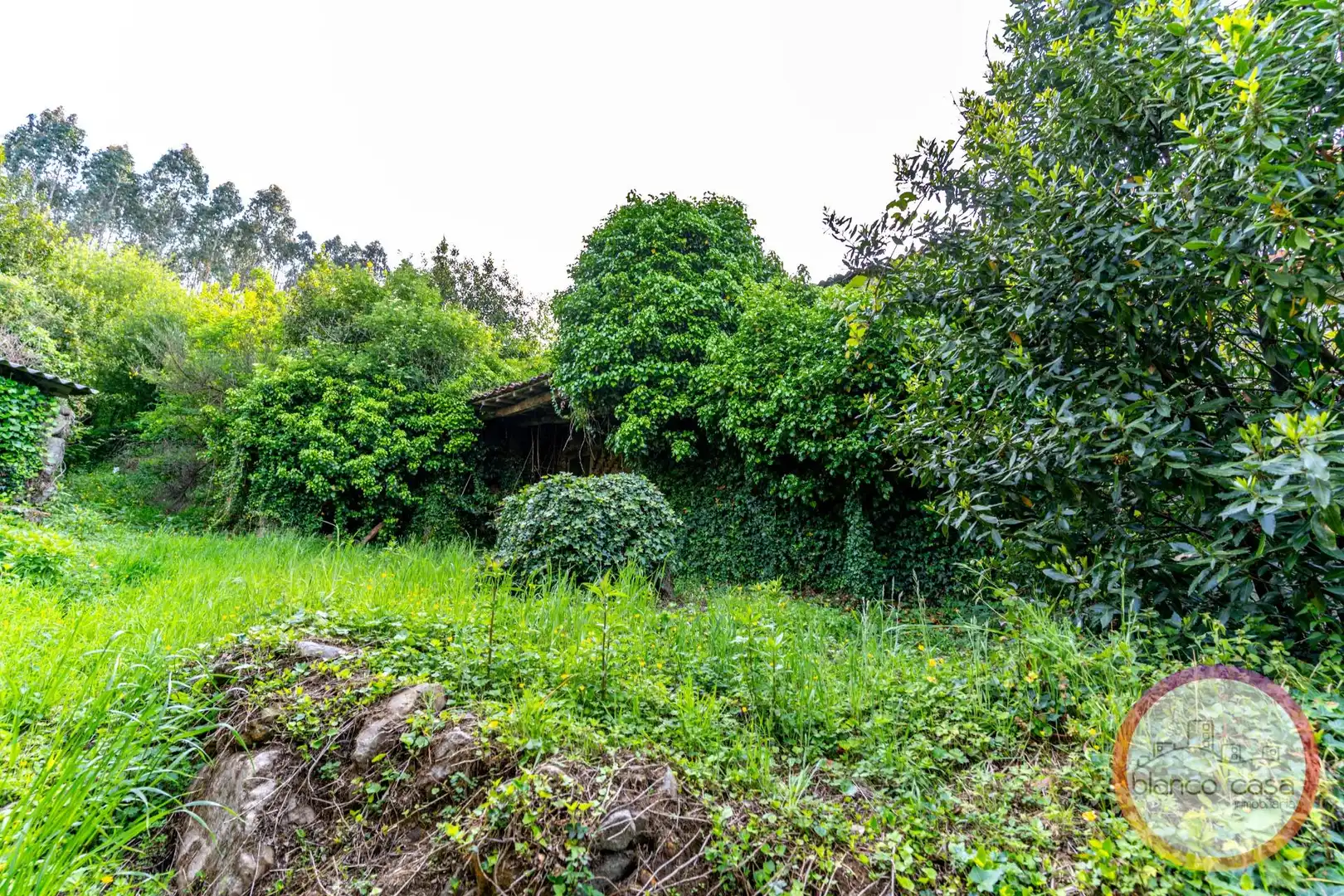 Houses for sale in Carballo