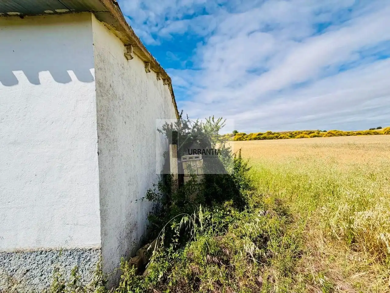 Terreno en venta en Allo